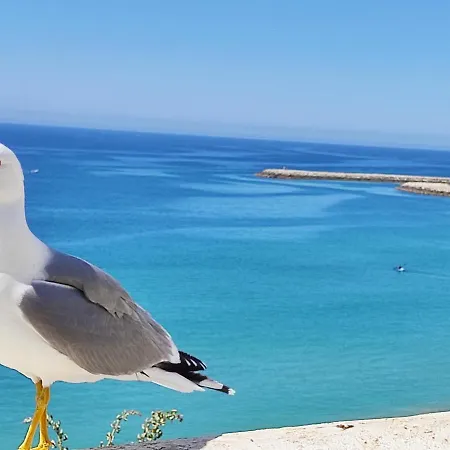 Alzira By Rossio אלבופיירה